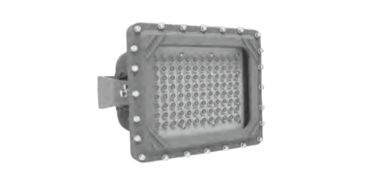 LED Flood Light SylSecure